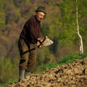 Ne Vrem Pământul Înapoi!