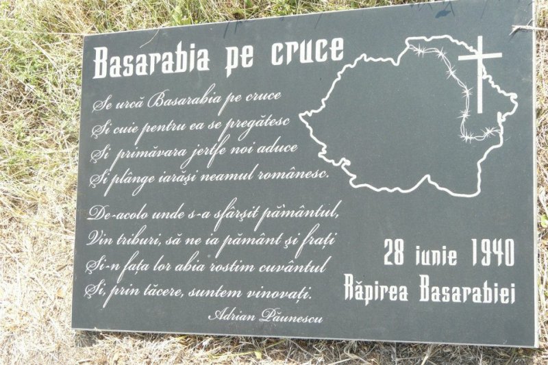 Scrisoarea d-lui Profesor Ion Coja către Academia Română