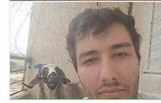 F*te-capra Își Fac de Cap