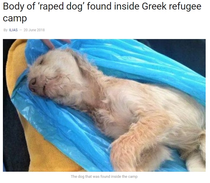 F*te-capra Își Fac de Cap