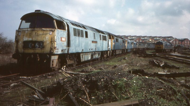 CONSTITUŢIA ALIENATĂ ŞI ALIENANTĂ SAU STATUL DE DREPT-CURMEZIŞ