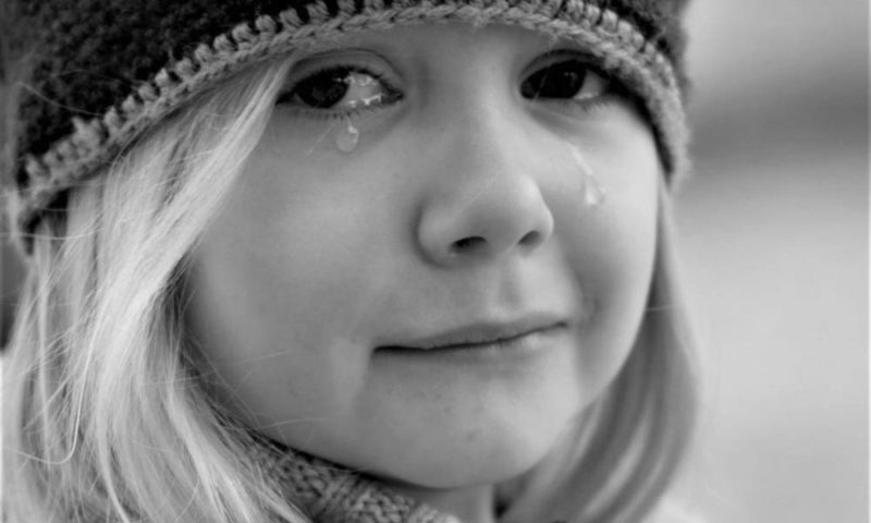 Pădurar Ucis Încercând Să Oprească Tăieri Ilegale