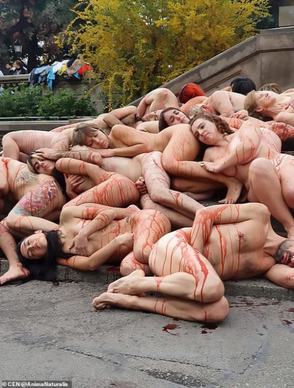 Activiști Dezbrăcați și Stropiți cu Sânge Fals