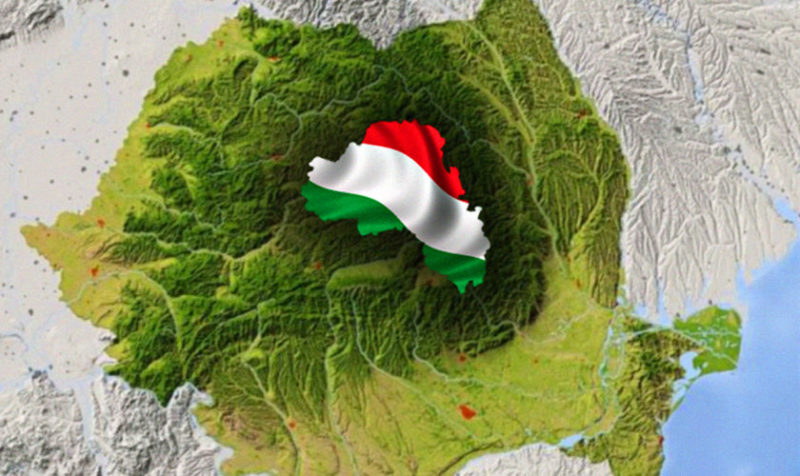 Eroii Armatei Române nu au stat acasă