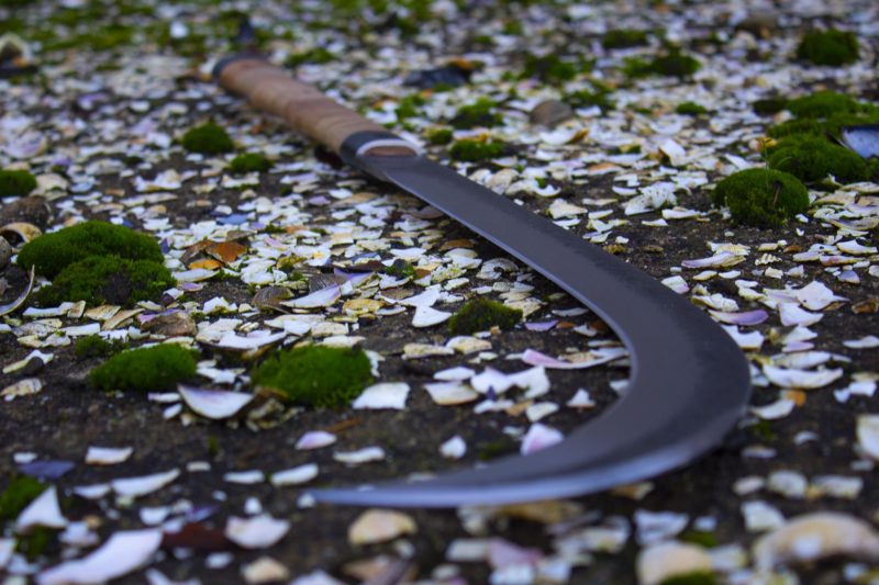 Singura Soluție - ÎNCĂ O REVOLUȚIE