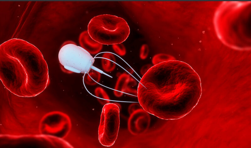 Nanotehnologie, biosenzori implantați, ce ar putea ei pune în vaccinul COVID?