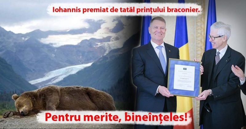 Românii SE REVOLTĂ după uciderea ursului Arthur de către prințul străin al cărui tată l-a premiat pe Klaus Iohannis
