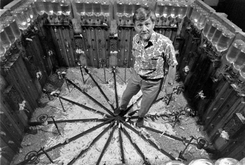 Experimentul "Universul 25"