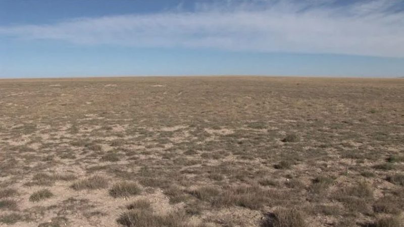 Triumful României trădate