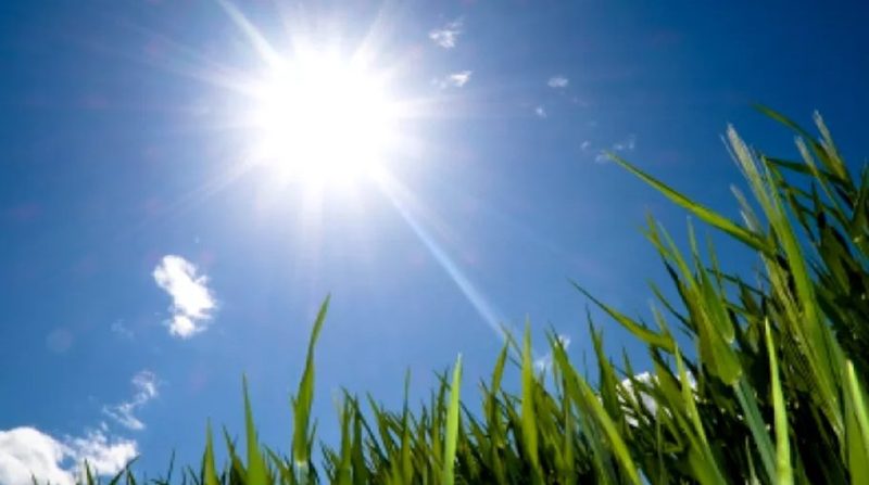 Ceva Adevăr serviți?