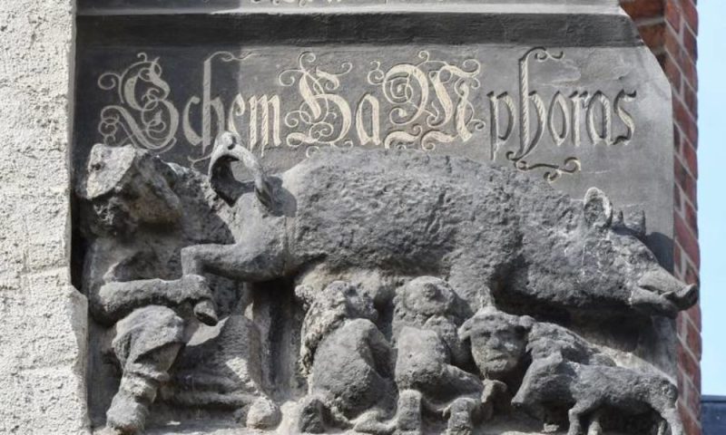 „Scroafa jidănească“ supraviețuiește!