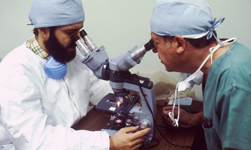 Noul virus henipa descoperit în China: „Așteptați să vedeți cât de grav este Langya”