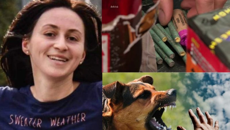 București: Ana Oroș Daraban (43 ani) ucisă de o haită de câini - caz serios pentru înlesnirea legislației petardelor